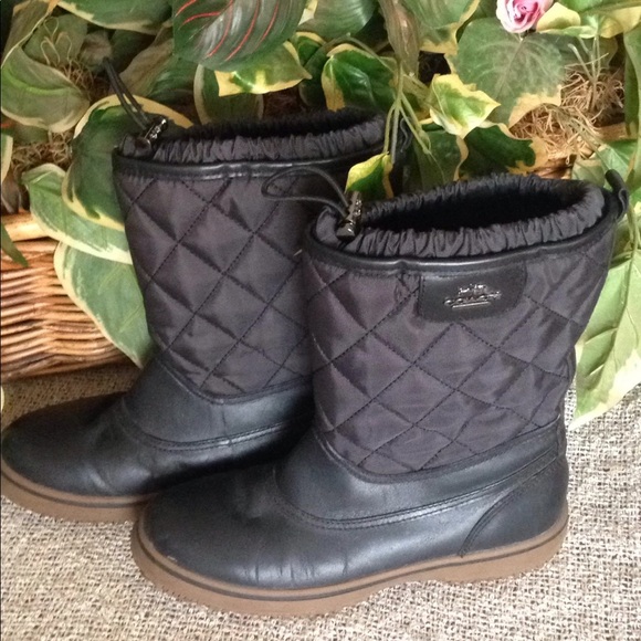 Coach - Picture 2 of 7